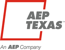 7 Essential Aep Texas Delivery Facts: Know Before You Pay