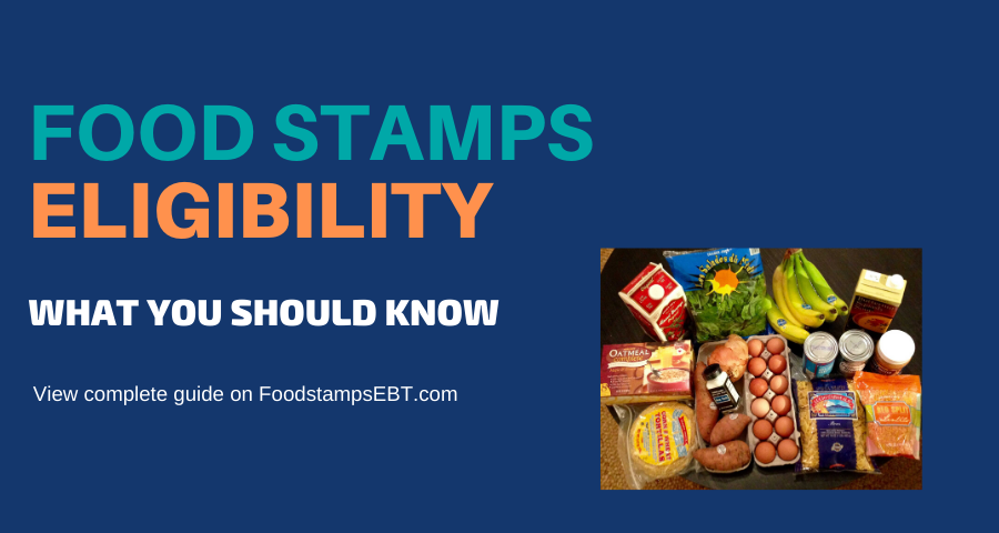 Florida Food Stamps Eligibility Guide Food Stamps Ebt