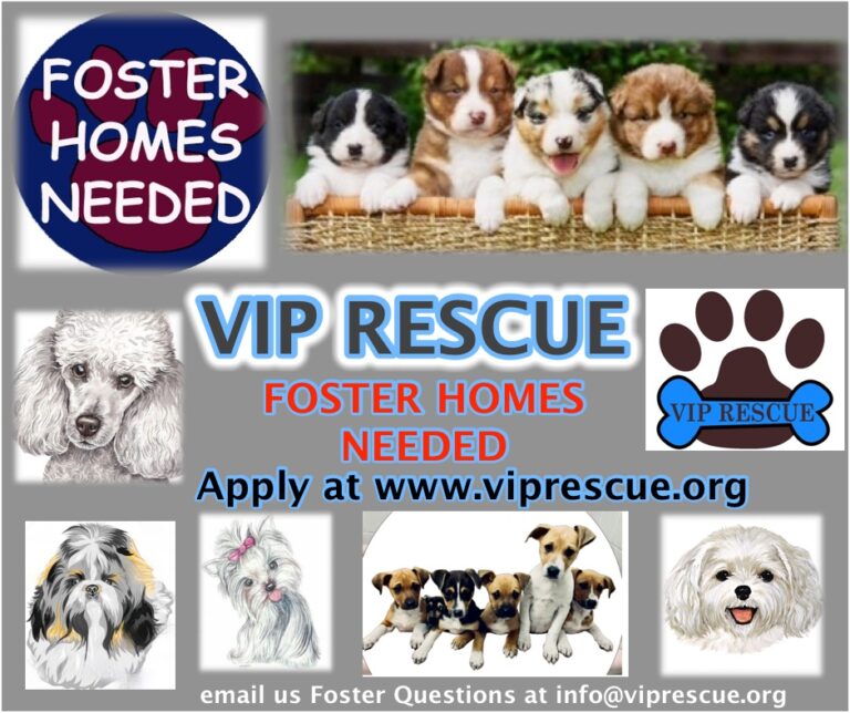 Generate Hope With Vip Rescue