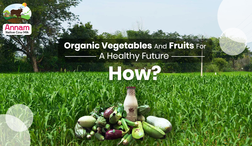 Organic Vegetables And Fruits For A Healthy Future How