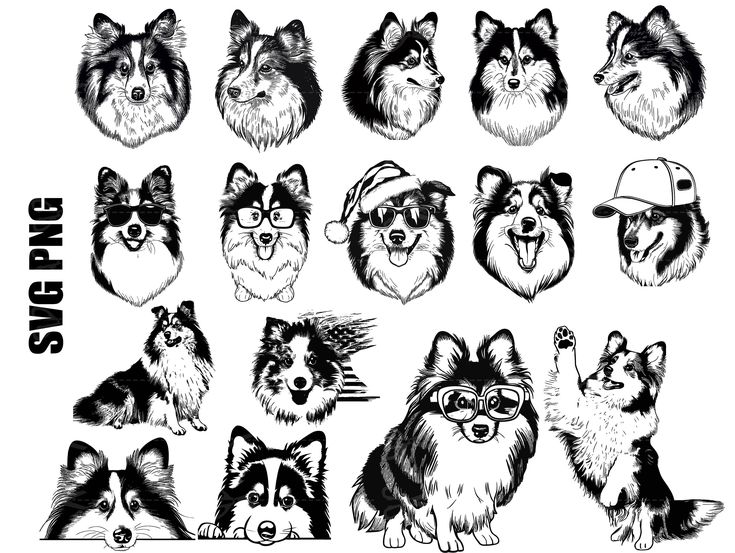 Sheltie Dog Svg Layered Shetland Sheepdog Cutting File